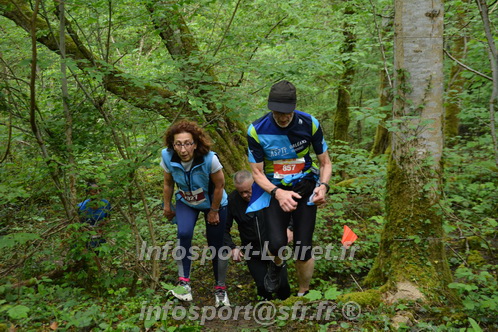 Trail _Chamerolles2026/CHM2026_3328.JPG